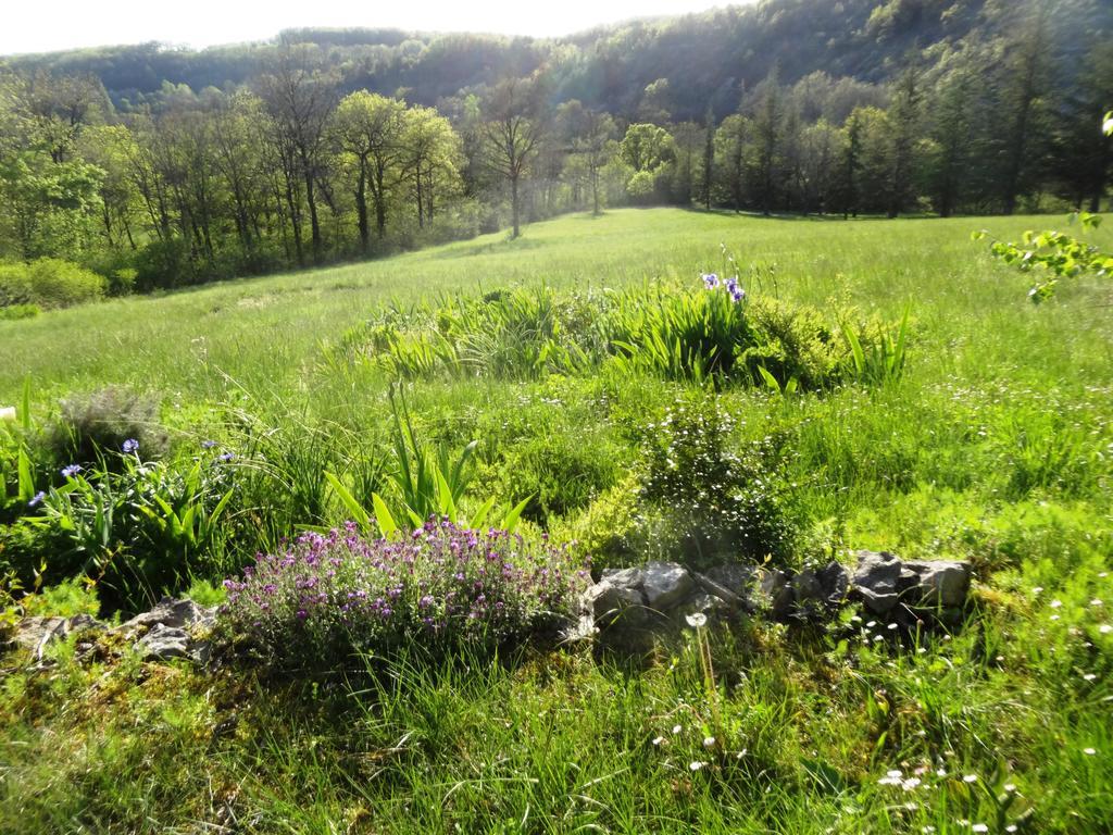 Gites Coeur De Lot Soucirac Exterior photo